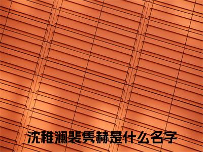 沈稚澜裴隽赫精彩满分小说-强烈推荐沈稚澜裴隽赫（沈稚澜裴隽赫）小说精彩全文阅读