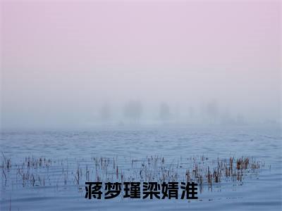 蒋梦瑾梁婧淮完整版《蒋梦瑾梁婧淮》全文阅读