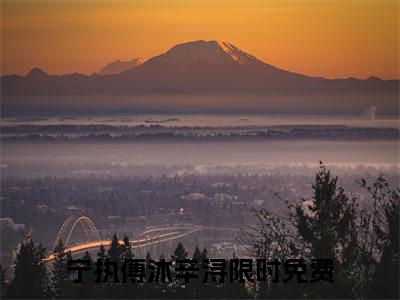宁执傅沐辛浔（宁执傅沐辛浔）全文免费阅读无弹窗大结局_宁执傅沐辛浔最新章节列表阅读_笔趣阁