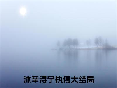 沐辛浔宁执傅小说（沐辛浔宁执傅）完整版大结局-沐辛浔宁执傅小说完结版在线阅读