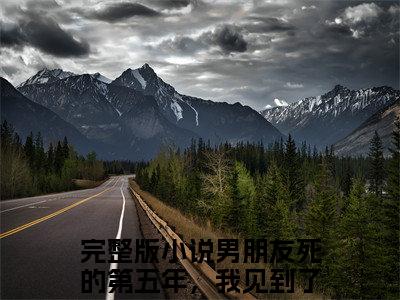 男朋友死的第五年，我见到了一个和他一模一样的人免费版最新更新阅读- 戚岁安陆靳深小说全文在线阅读