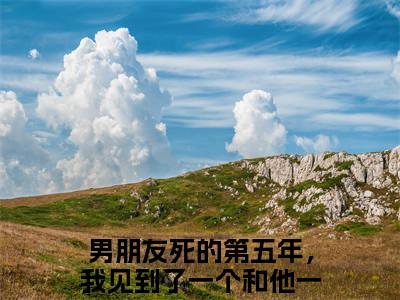 戚岁安陆靳深(男朋友死的第五年，我见到了一个和他一模一样的人）小说全文免费读无弹窗大结局_戚岁安陆靳深小说全文免费阅读最新章节列表笔趣阁