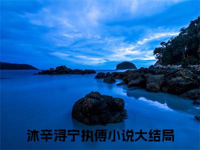 沐辛浔宁执傅（沐辛浔宁执傅）小说全文免费阅读无弹窗-（沐辛浔宁执傅）小说全文免费阅读最新章节列表笔趣阁