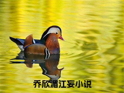 （乔欣湄江妄）乔欣湄江妄小说全文免费乔欣湄江妄读最新章节列表笔趣阁（乔欣湄江妄