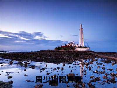 周少川穆青青全文免费阅读无弹窗大结局_周少川穆青青最新章节列表_笔趣阁(周少川穆青青）