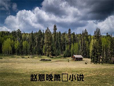 赵意晚萧璟最新章节（赵意晚萧璟）小说推荐阅读-新书赵意晚萧璟精彩阅读