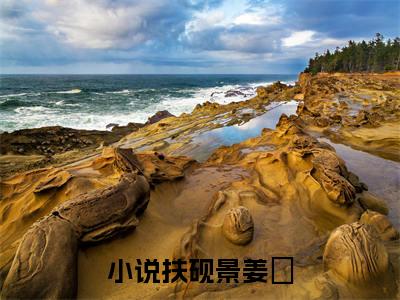 （扶砚景姜婳）扶砚景姜婳小说全文免费扶砚景姜婳读最新章节列表笔趣阁（扶砚景姜婳