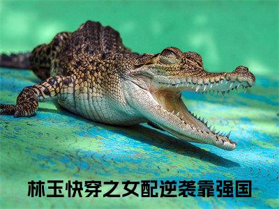 快穿之女配逆袭靠强国（林玉免费小说）全文免费阅读无弹窗大结局_林玉免费小说最新章节列表_笔趣阁