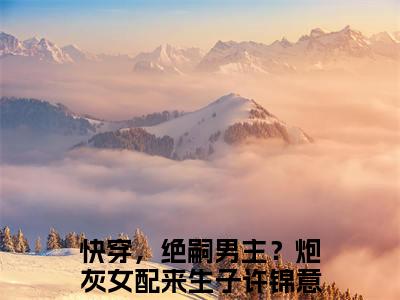 许锦意（快穿，绝嗣男主？炮灰女配来生子）经典小说全文免费阅读无弹窗_（快穿，绝嗣男主？炮灰女配来生子）小说全文免费阅读最新章节_笔趣阁