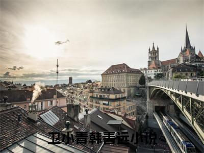 卫小青韩善远（卫小青韩善远）小说全文免费阅读无弹窗_（卫小青韩善远）小说全文免费阅读_最新章节列表_笔趣阁