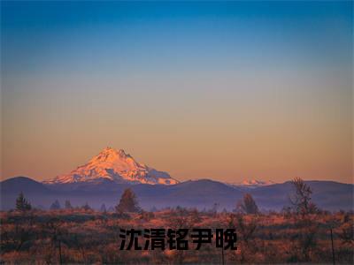 沈清铭尹晚（沈清铭尹晚）全文免费阅读无弹窗大结局_（沈清铭尹晚）已完结全集大结局小说