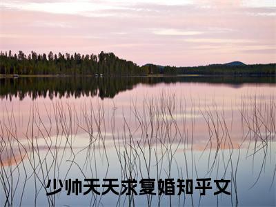 林之意司晏全文阅读-（少帅天天求复婚）林之意司晏小说全文免费阅读_最新章节列表_笔趣阁