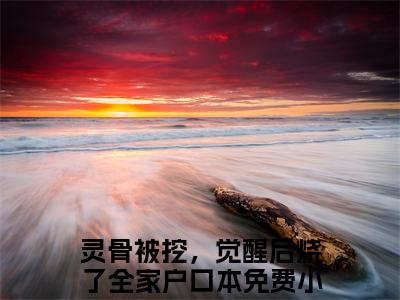 （盛灵澜祝九溟）灵骨被挖，觉醒后烧了全家户口本新书热荐免费小说全文完整版-灵骨被挖，觉醒后烧了全家户口本知乎小说