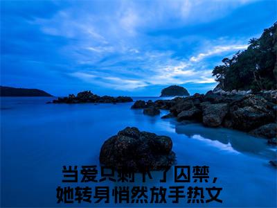 柯北臣蓝琥珀无广告小说免费阅读，柯北臣蓝琥珀当爱只剩下了囚禁，她转身悄然放手完结小说在线阅读