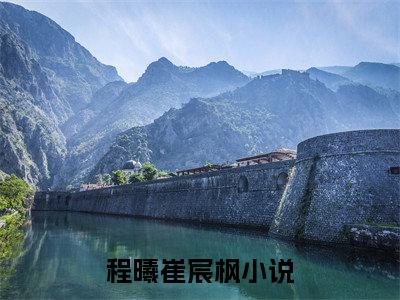程曦崔宸枫（程曦崔宸枫）全文免费阅读无弹窗大结局_(程曦崔宸枫)免费阅读无弹窗最新章节列表