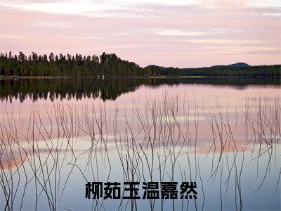 柳茹玉温嘉然在线阅读（柳茹玉温嘉然）全文免费阅读无弹窗大结局_柳茹玉温嘉然免费最新章节列表_笔趣阁