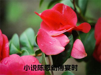 陈恩幼傅宴时全集免费阅读无弹窗_陈恩幼傅宴时完结小说榜单阅读（陈恩幼傅宴时小说）