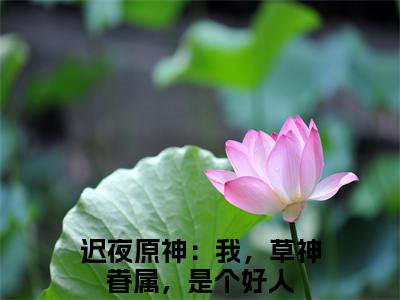 原神：我，草神眷属，是个好人阅读无弹窗大结局_迟夜穿越小说免费阅读_笔趣阁