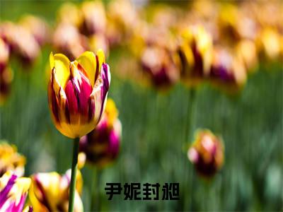 尹妮封昶(尹妮封昶)小说免费阅读无弹窗大结局_(尹妮封昶)尹妮封昶最新章节列表笔趣阁（尹妮封昶）