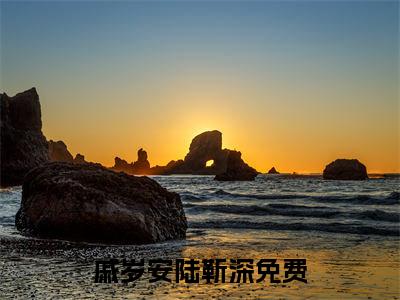戚岁安陆靳深（戚岁安陆靳深）免费阅读全本资源-热门新书戚岁安陆靳深在线阅读