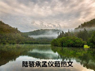 【新书】陆骁承孟仪茹全文全章节免费阅读-陆骁承孟仪茹小说免费阅读无弹窗最新章节列表