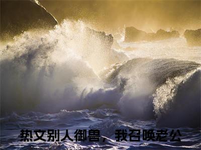 别人御兽，我召唤老公小说全文免费阅读无弹窗-许灵昀加西亚全章节阅读