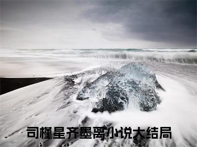 冲喜？离府前我搬空库房气死继母小说在线阅读-主角叫司槿星齐墨离的小说（冲喜？离府前我搬空库房气死继母）完整版免费阅读全文