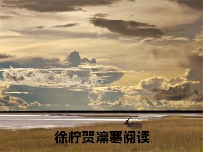 徐柠贺凛寒精选好书-徐柠贺凛寒无删减小说在线阅读（徐柠贺凛寒全文免费阅读）