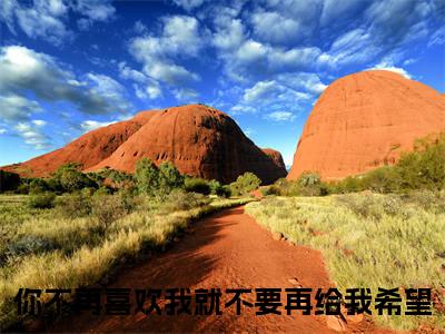傅司承郑芮（你不再喜欢我就不要再给我希望）免费阅读无弹窗大结局-你不再喜欢我就不要再给我希望（最新全章节大结局）全文阅读