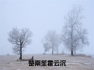 楚南笙霍云沉（楚南笙霍云沉）小说-楚南笙霍云沉小说免费最新章节列表