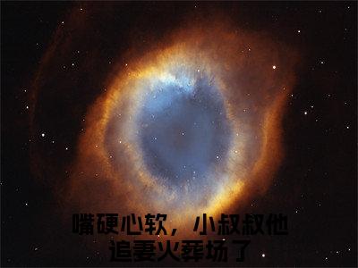 霍行止陆苒（嘴硬心软，小叔叔他追妻火葬场了）全文免费阅读无弹窗大结局_（嘴硬心软，小叔叔他追妻火葬场了）最新章节