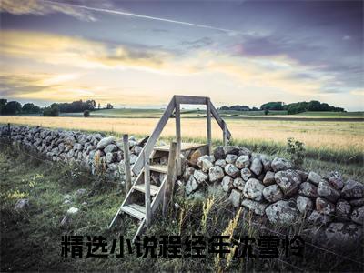 程经年沈雪怜（程经年沈雪怜）全文免费阅读无弹窗大结局_(程经年沈雪怜免费阅读)最新章节列表_笔趣阁