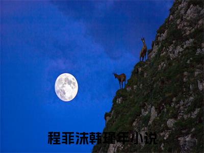 程菲沫韩瑾年小说全文，程菲沫韩瑾年无弹窗免费阅读