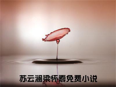 苏云澜梁怀羲（苏云澜梁怀羲）全文阅读完整版_苏云澜梁怀羲小说免费阅读大结局（苏云澜梁怀羲）
