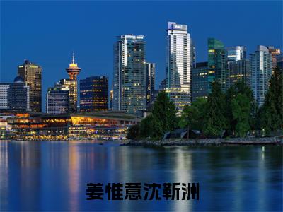 精选好书姜惟意沈靳洲全文免费阅读大结局_姜惟意沈靳洲（姜惟意沈靳洲）完整版在线赏析
