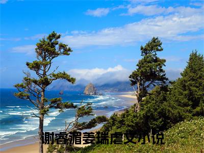谢睿湄姜瑞的书名 谢睿湄姜瑞免费章节阅读