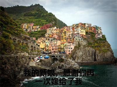 主角我的新娘，感谢你再一次嫁给了我小说  傅修林池紫艺小说全文免费阅读