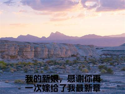 傅修林池紫艺（我的新娘，感谢你再一次嫁给了我）免费小说-我的新娘，感谢你再一次嫁给了我全文阅读目录