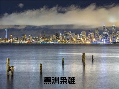 陆航（黑洲枭雄）完整版小说阅读大结局_陆航（黑洲枭雄）全文免费阅读笔趣阁（黑洲枭雄）