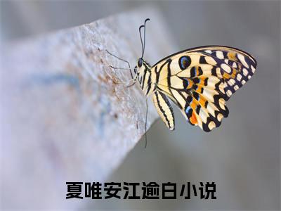 【新书】夏唯安江逾白全文全章节免费阅读-夏唯安江逾白小说免费阅读无弹窗最新章节列表