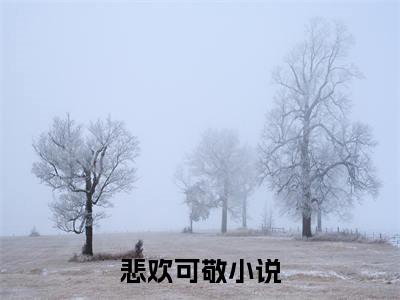 悲欢可敬小说免费(陆知意霍西洲)全文免费阅读无弹窗-陆知意霍西洲小说全文免费阅读最新章节列表_笔趣阁
