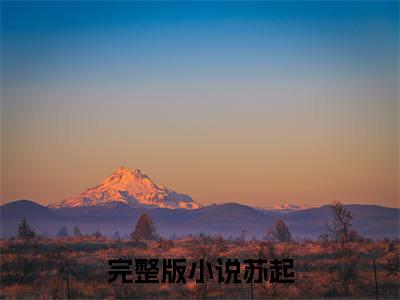 小说《苏起》全文免费阅读无弹窗-开局点满气运，我苟到无敌了小说全文在线赏析