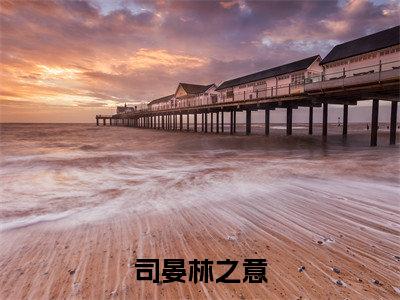 司晏林之意全文免费阅读(司晏林之意)全文免费阅读无弹窗大结局(司晏林之意小说免费)最新章节列表 笔趣阁(司晏林之意)