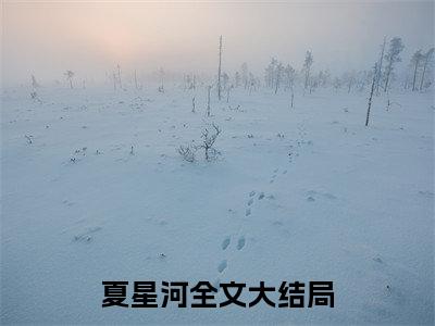 我蹭队友CP后翻车了小说在线阅读（夏星河）全文免费阅读无弹窗大结局_我蹭队友CP后翻车了小说免费最新章节列表_笔趣阁（夏星河）