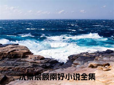 沈景宸顾南妤在线阅读（沈景宸顾南妤）全文免费阅读无弹窗大结局_沈景宸顾南妤精选免费小说