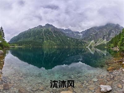 沈沐风（重生之携手巅峰）多人追免费无弹窗小说-主角重生之携手巅峰完整版在线阅读（沈沐风）