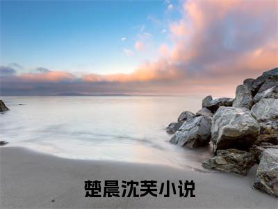 抖音热推高点击小说（楚晨沈芙）在线阅读-楚晨沈芙无广告阅读