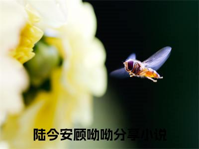 陆今安顾呦呦精彩章节在线阅读_天降摆谱？不好意思，竹马在等我免费观看（陆今安顾呦呦）完结版_笔趣阁（天降摆谱？不好意思，竹马在等我）