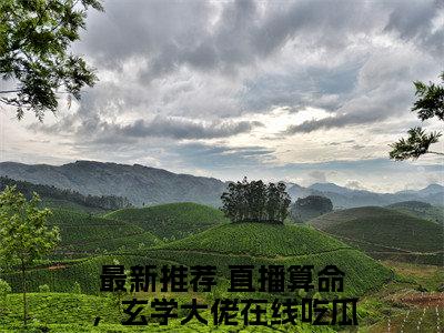 苏酥陆夜玹（直播算命，玄学大佬在线吃瓜）全文在线阅读无弹窗大结局_(直播算命，玄学大佬在线吃瓜苏酥陆夜玹免费阅读全文大结局)最新章节列表_笔趣阁（直播算命，玄学大佬在线吃瓜）