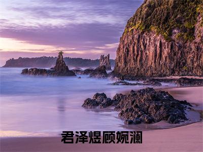 君泽煜顾婉澜小说-（君泽煜顾婉澜）小说全文免费阅读